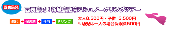 西表島発!新城島散策&シュノーケリングツアー